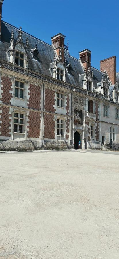 Апартаменти Le Logis De La Rue Des Arts Блуа Екстер'єр фото